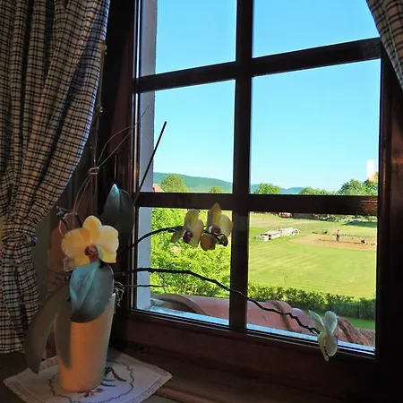 Holiday Kovacnica Srece